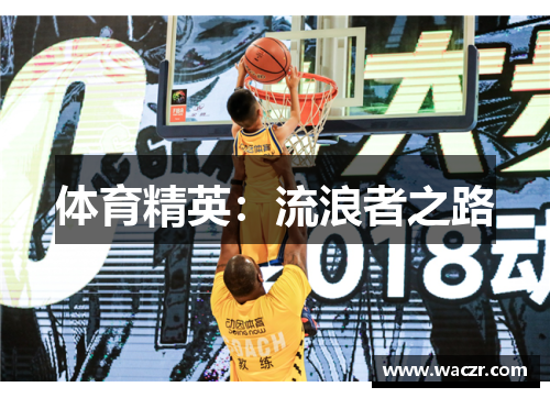 体育精英：流浪者之路
